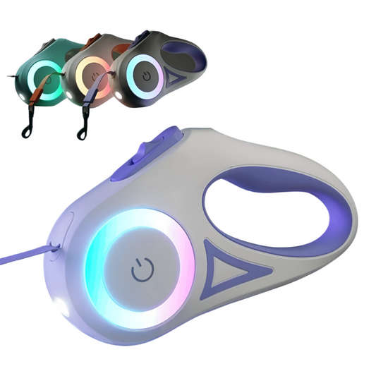 Corde de marche lumineuse pour chien rétractable automatique