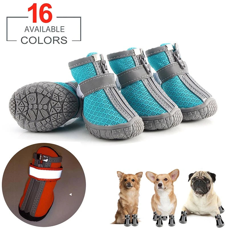 Chaussures pour chiens pour chaussée chaude