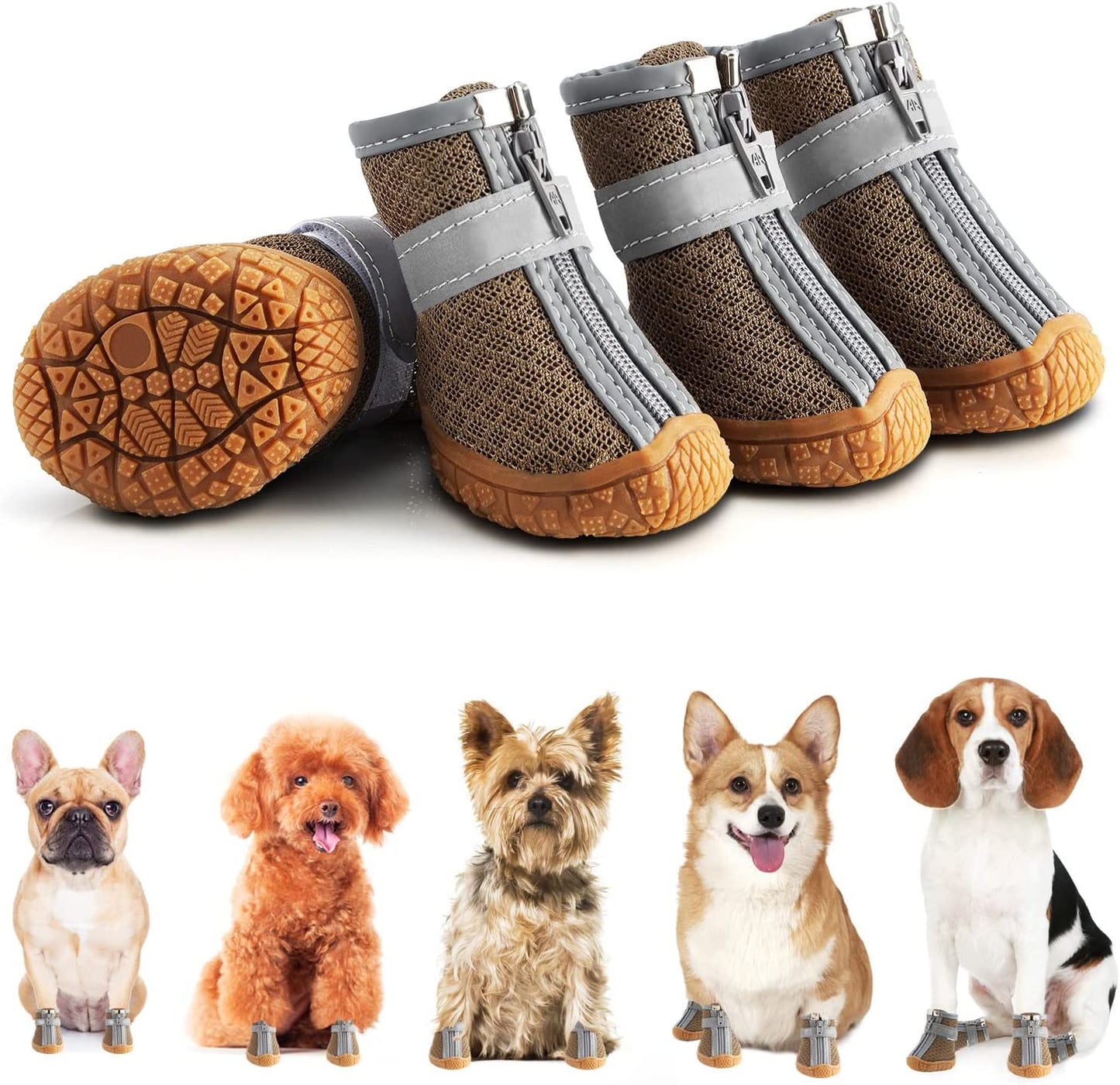 Chaussures pour chiens pour chaussée chaude